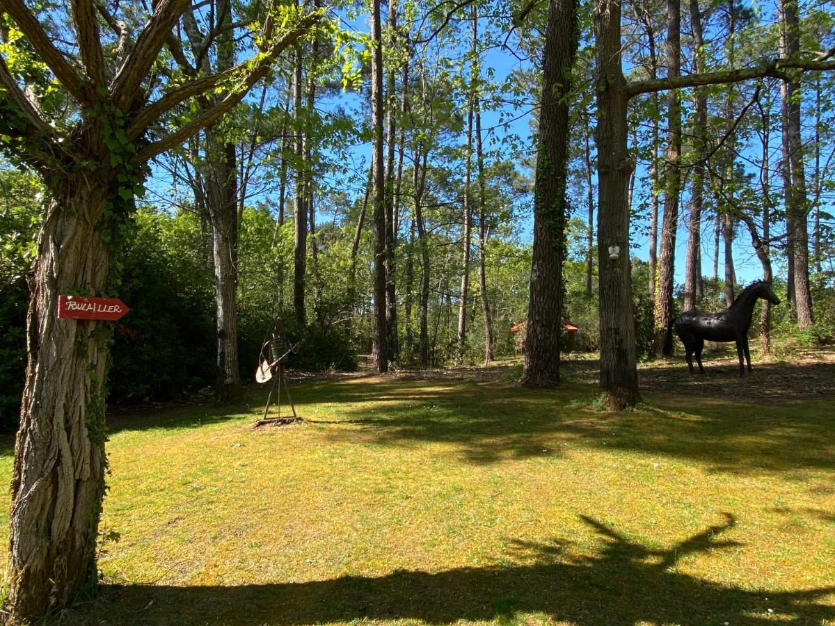 Вілла Le Petit Poulailler Au Beau Milieu Des Pins Лакано Екстер'єр фото