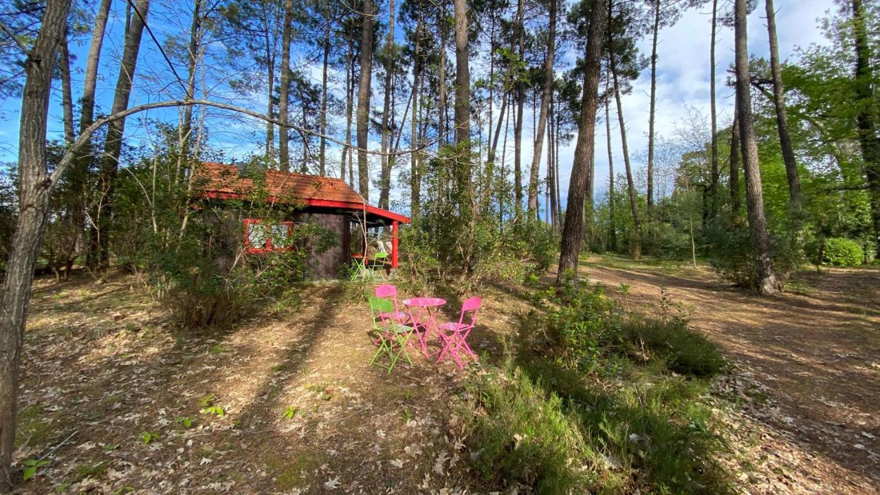 Вілла Le Petit Poulailler Au Beau Milieu Des Pins Лакано Екстер'єр фото