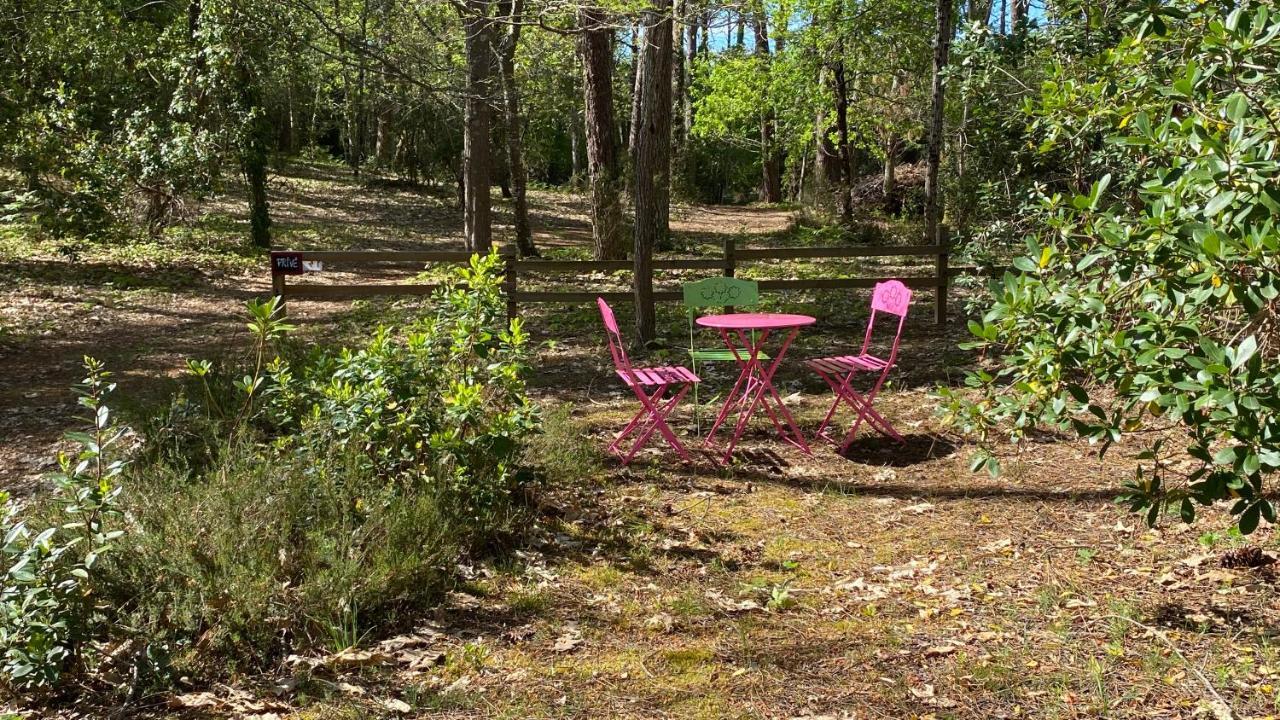 Вілла Le Petit Poulailler Au Beau Milieu Des Pins Лакано Екстер'єр фото